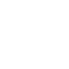 ip 1